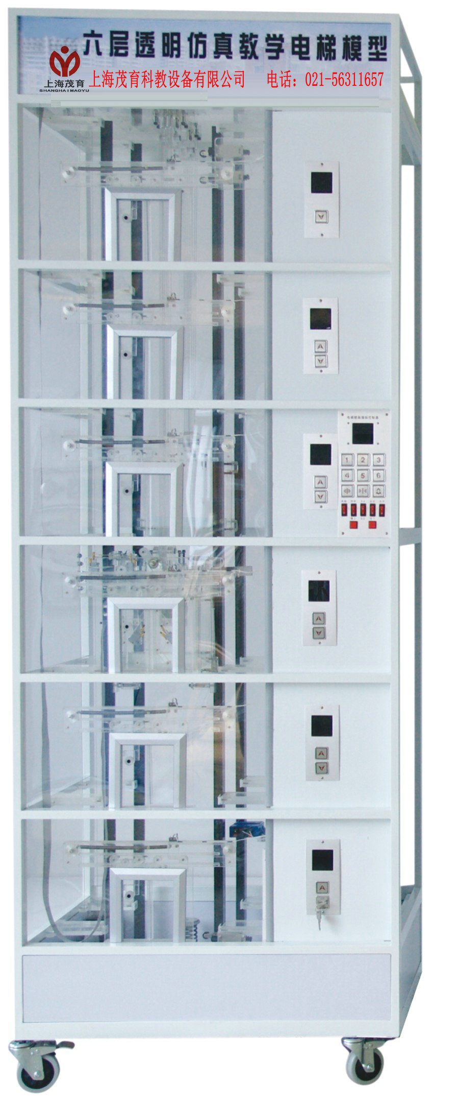 ����͸������̌W���ģ��