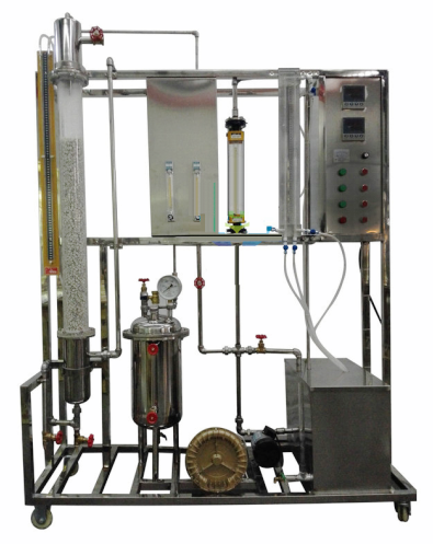 ���w���գ����w��